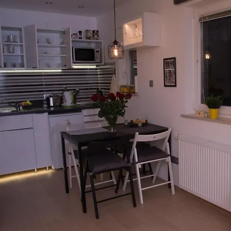 Lovely & Cosy With Wifi & Free Parking 公寓 卢布尔雅那